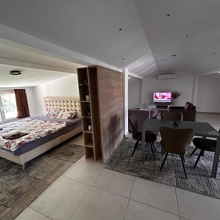 Anton Lux Apartment Kočani 외부 사진